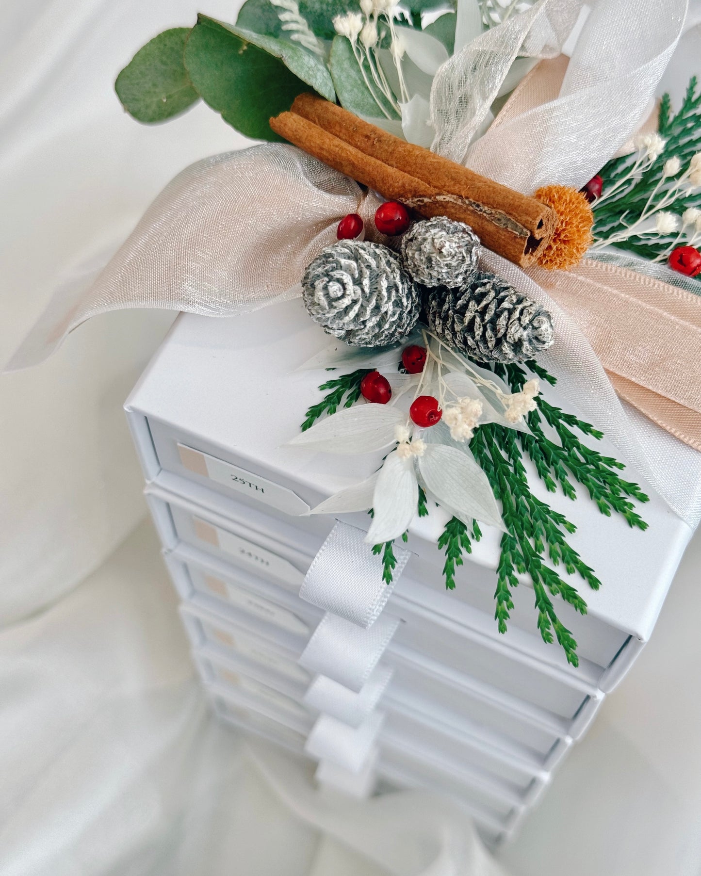 ✨ Exclusive 2025 Limited Edition Advent Calendar ✨